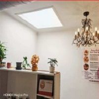 Toronto Escort Happy Shiatsu New Foot Spa 5
